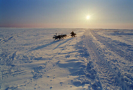 Russia,the Taimyr Peninsula ,Nenets,winter in the tundra,Nenets on deer
Таймыр тундра зимой