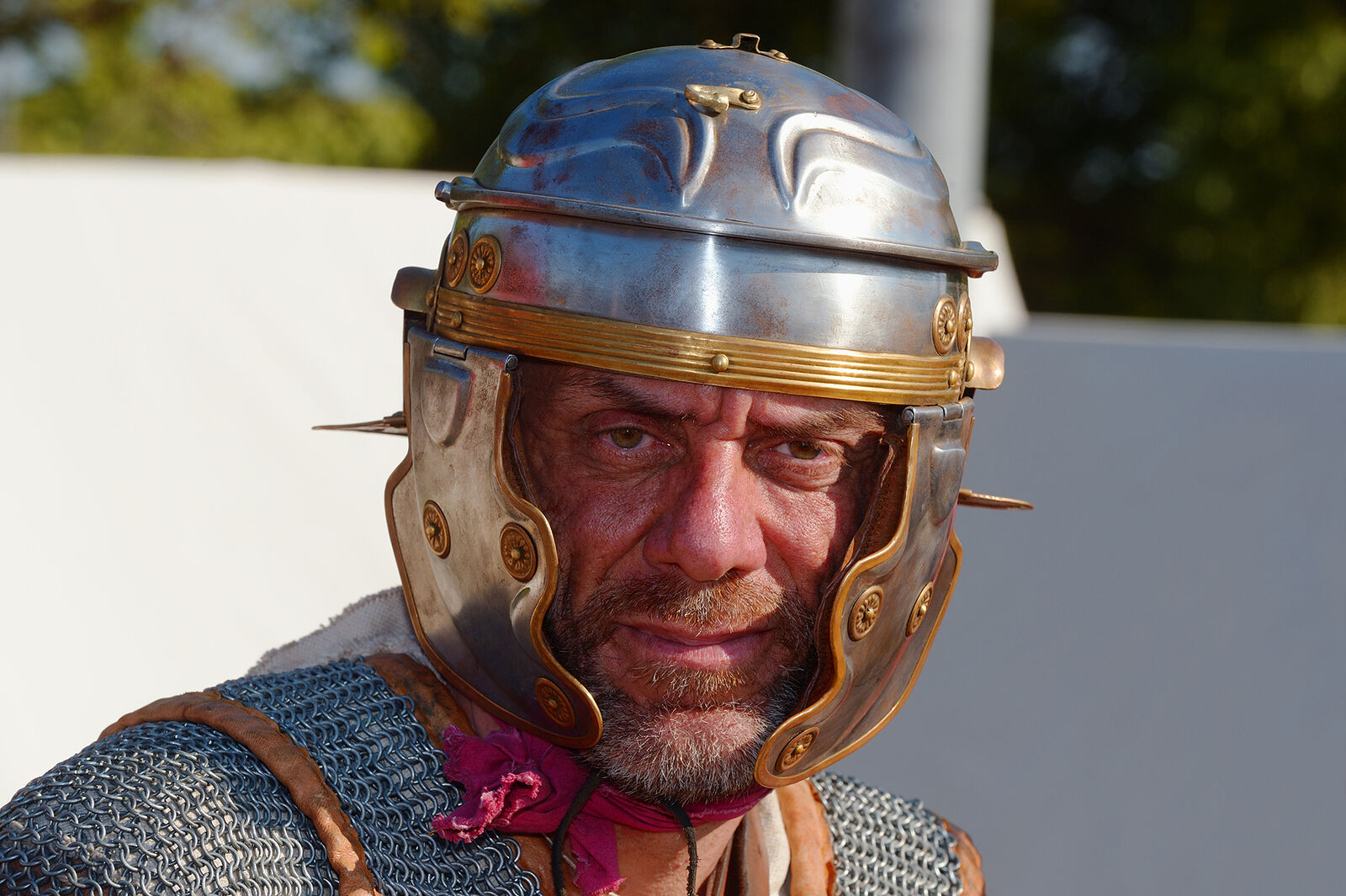 Римская эпоха в “Коломенском”
В Москве 6и7 июня 2015г в столичном заповеднике “Коломенское”прошёл международный фестиваль “Времена и Эпохи” посвященный античному миру. Во время фестиваля москвичи смогли увидеть театрализованные представления, эпизоды военных действий, гладиаторские бои, сражение Варворов с Римскими легионерами, типичные для того времени состязания , игры, ремёсла и промыслы.Участниками фестиваля были реконструкторы из разных стран мира – России, Италии, Чехии, Израиля и др.
